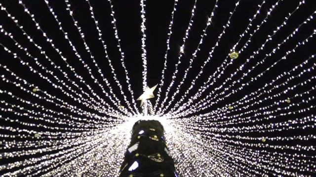 Пермь. Новогодняя эспланада 2021-2022. Главная ёлка города смотреть онлайн