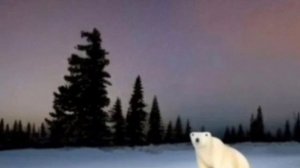 10 минут ойойойойо(мем из 2026/медведь из 2026/ ядерная зима 2026)