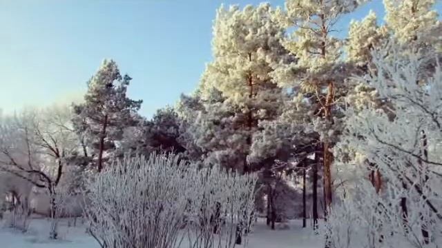 Снежная сказка в Аткарске! смотреть онлайн