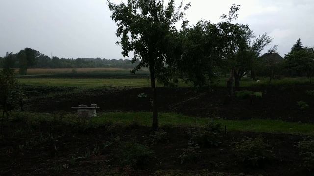 ПОСАДОЧНЫЙ ПИСТОЛЕТ ДЛЯ РАССАДЫ/САДИМ КАПУСТУ. смотреть онлайн