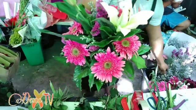 Gerbera with Star Gazer Bouquet смотреть онлайн