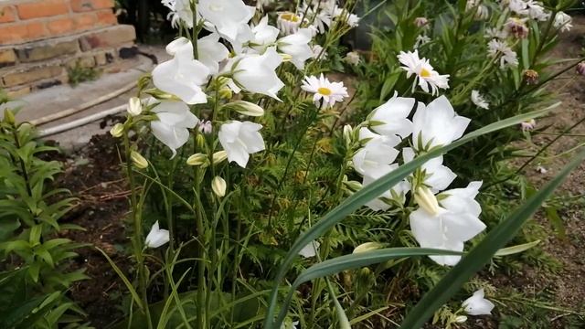 Устройство на работу смотреть онлайн