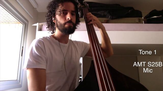 Zoom A3 demo on a Double Bass смотреть онлайн