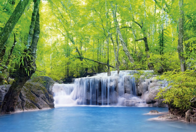 Релаксация. Звуки природы, водопад и пение птиц для медитации ✦ релакс ✦ relax смотреть онлайн