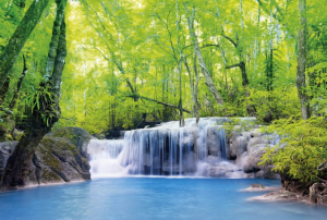 Релаксация. Звуки природы, водопад и пение птиц для медитации ✦ релакс ✦ relax