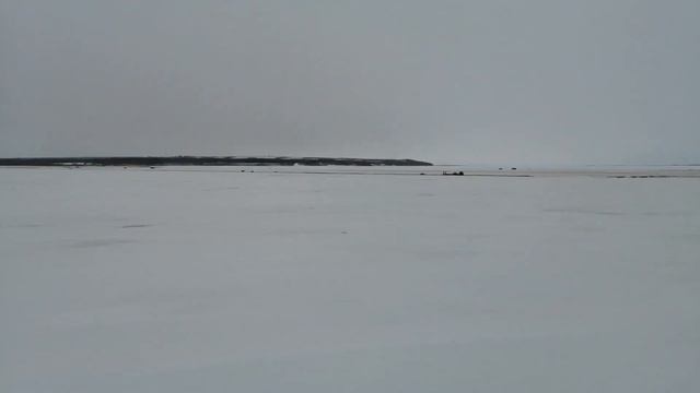 Север России. Ямал Лабытнаги. Река Обь. 19 апреля 2021. смотреть онлайн