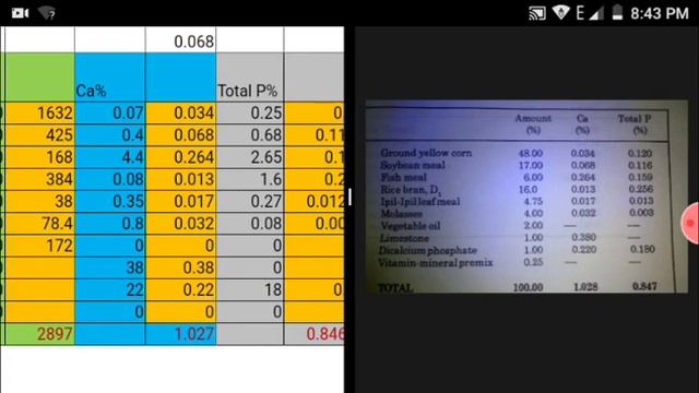 Broiler type Chicken Feed Formulation (Trial and Error Method) with formulas in Excel or Spreadshe смотреть онлайн