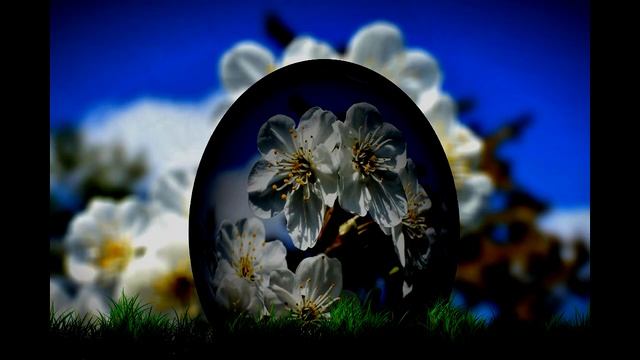 Видео открытка поздравление с Пасхой смотреть онлайн