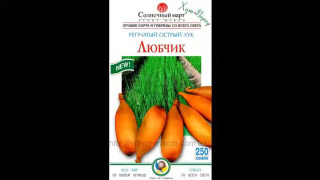 Семена лука оптом смотреть онлайн