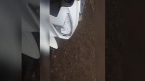 YAMASAKI Scorpion 3. Стоет-ли его покупать ?!