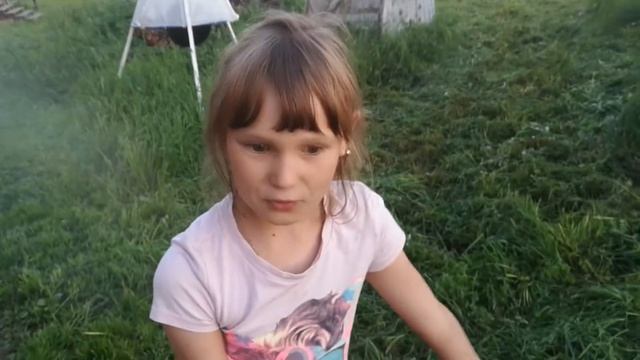 Сбор урожая черники смотреть онлайн