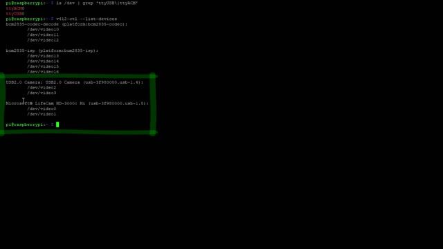 Multiple stampanti 3D controllate da un solo Raspberry con Octoprint смотреть онлайн