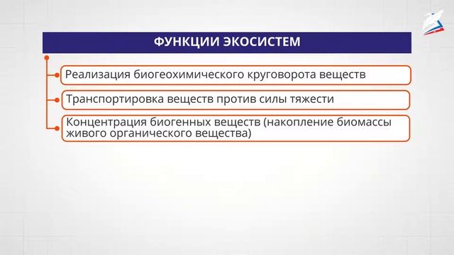 Принципы организации экосистем смотреть онлайн
