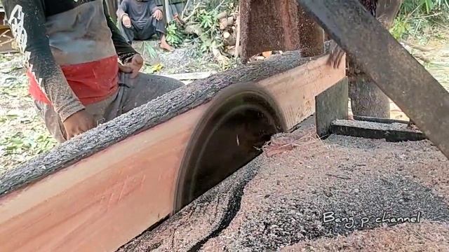 Rawan Tumbang ! mendingan ditebang buat balok 7x12 - Gergaji mesin stihl ms 381 смотреть онлайн
