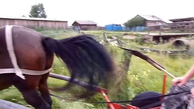 Экологический способ заготовки сена смотреть онлайн