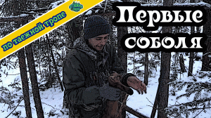 Охота на соболя. Удачная проверка капканов