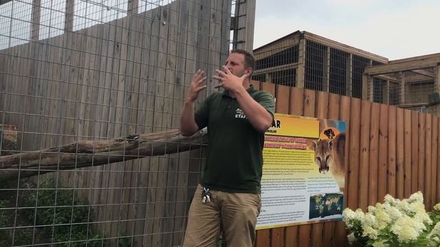 Animal Adventures with Jordan: Cougar смотреть онлайн