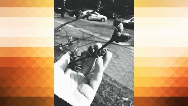 Я в маске потому что я не хочу показывать своё лицо! Просто у меня нет ещё другой маски!! смотреть онлайн