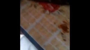 Как сделать держак или трезубец для сварки.