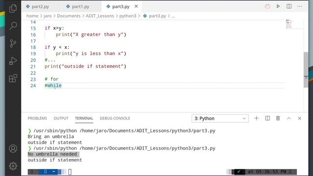 python3 part3- Loops and Conditionals смотреть онлайн