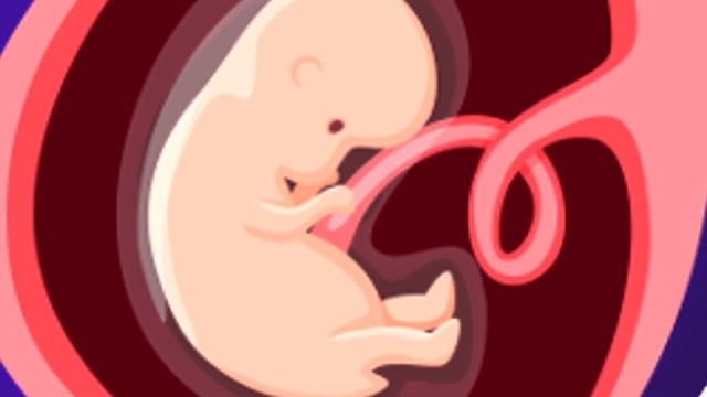 ¿De DÓNDE Vienen Los BEBÉS? ?? смотреть онлайн