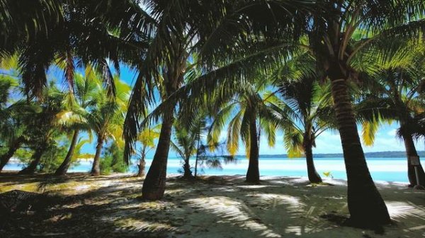 Тропические острова и релакс. Tropical islands and relaxation.