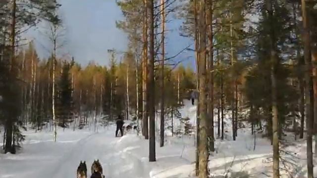 Гонки на Хасках смотреть онлайн