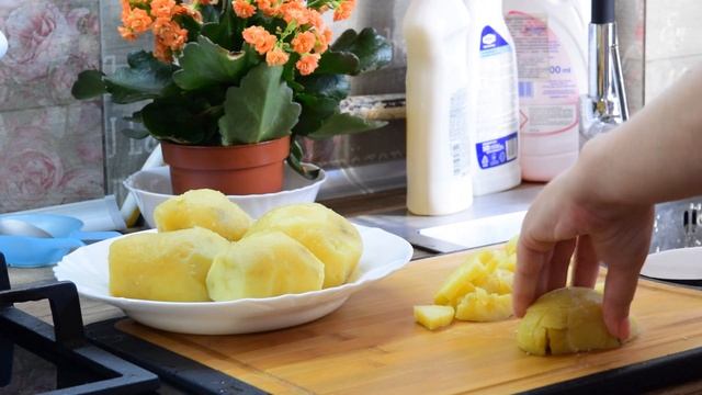 Интересные Факты и Загадки