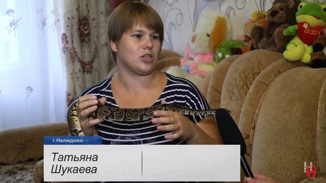 Домашняя экзотика смотреть онлайн