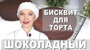 🎂 НЕЖНЕЙШИЙ ШОКОЛАДНЫЙ БИСКВИТ БЕЗ СОДЫ И РАЗРЫХЛИТЕЛЯ – ВСЕГДА ПОЛУЧАЕТСЯ! 🍫 БЕЗ разделения яиц ✨