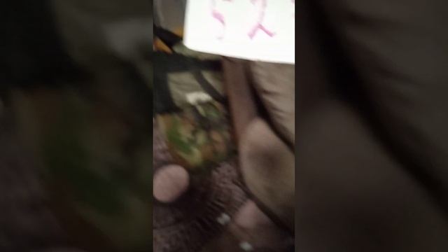 12 замков в реальной жизни #хочуврек смотреть онлайн