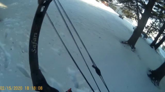 Bow Hunting In FIRST PERSON смотреть онлайн