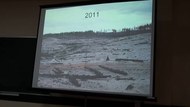 Исчезают ли птицы после пожаров? смотреть онлайн