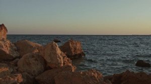 ТЕЩА ПРИШЛА НОЧЬЮ ПЬЯНАЯ И МЫ С НЕЙ УЕДИНИЛИСЬ | Теща и зять Истории из жизни