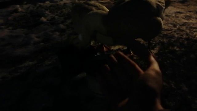 Гусь кусается и защищает гусыню. ГУСИНЫЙ ДОМ смотреть онлайн