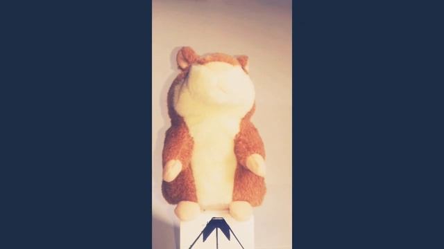 Новый канал "Рыжий Хомяк" | Приветстивие смотреть онлайн