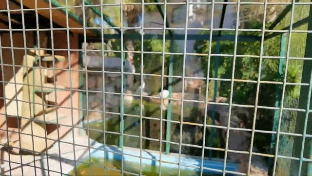 Обзор территории отеля Club Akman Beach Кемер Турция (hotel Kemer Turkey) июнь 2021 смотреть онлайн