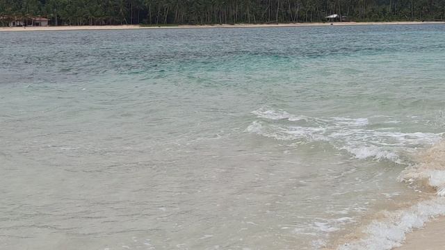 VID_20230607_093143.mp4 смотреть онлайн