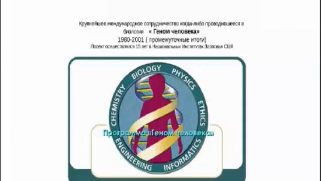О взаимоотношениях организма и питания, Галина Гуреева, 22.03.2017 смотреть онлайн