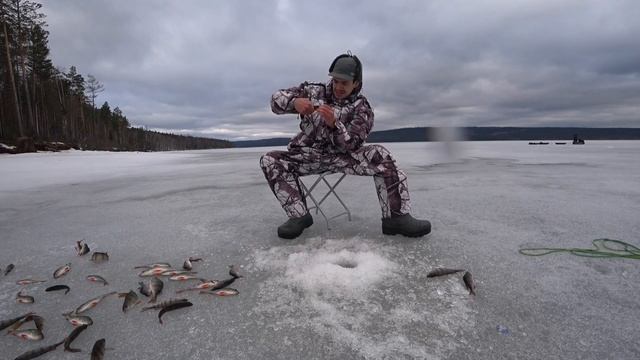 БЕШЕНЫЙ КЛЕВ окуня и щуки на балансиры RAPALA по СИБИРСКИ!!! смотреть онлайн