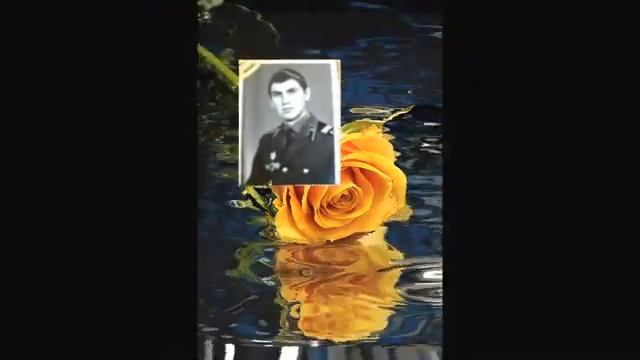 Мой дорогой брат! смотреть онлайн