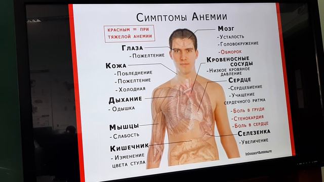 Патология эритрона(5) смотреть онлайн
