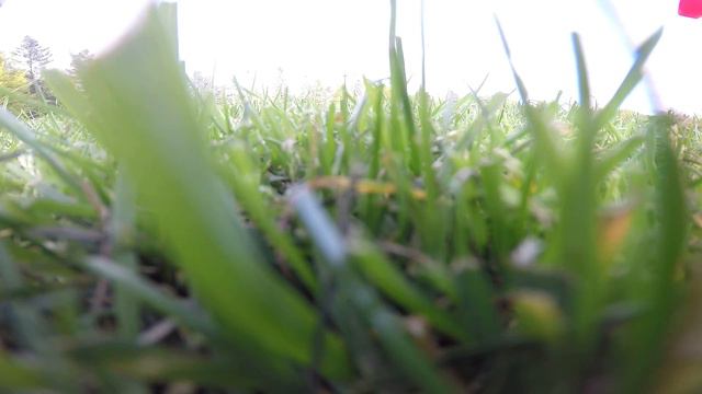 Quadcopter - Blade 350 QX - GP3+ - FPV test flight смотреть онлайн