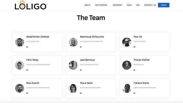 LOLIGO направления и возможности платформы смотреть онлайн