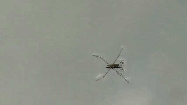 WATERWORKS смотреть онлайн