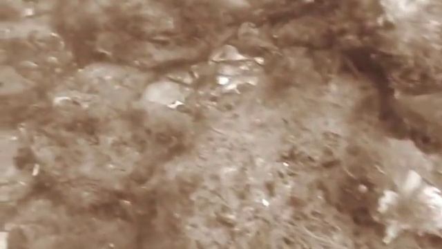 Сбор рапана в районе Санжейки смотреть онлайн