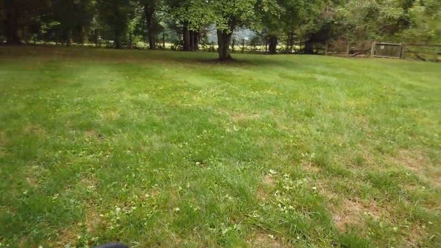 Tenacity and Triclopyr 4 - Real Deal Unsponsored Results смотреть онлайн