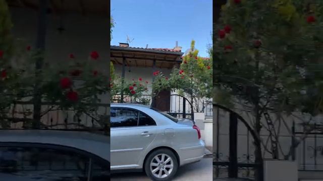 YL village story смотреть онлайн