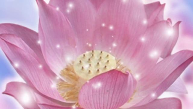 Джай Гурудев!  | Amrit Kirtan - Om Namo Gurudev Namo