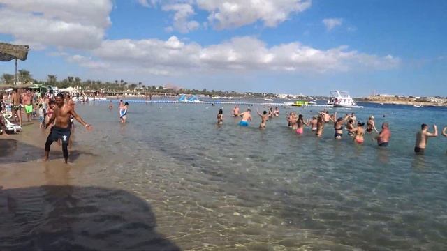 Пляж, анимация Tropitel Naama Bay 5*